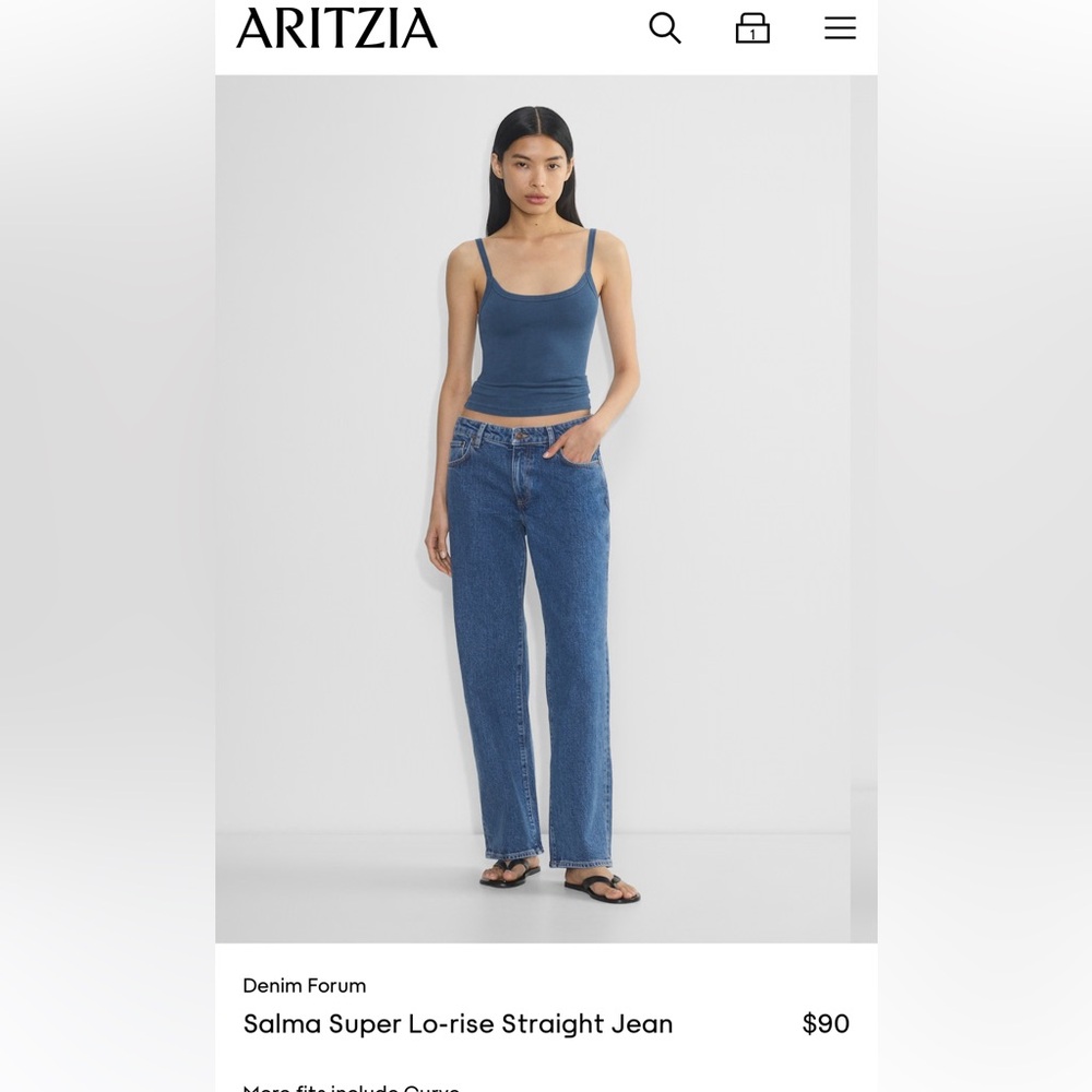 Aritzia denim forum Salma super low rise straight jean